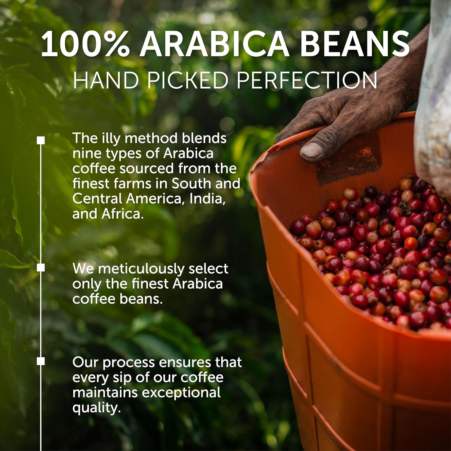 image:imageIlly Caffe Medium Roast Espresso Classico Ground Coffee 88 OZForte Extra Dark Roast Ground Drip