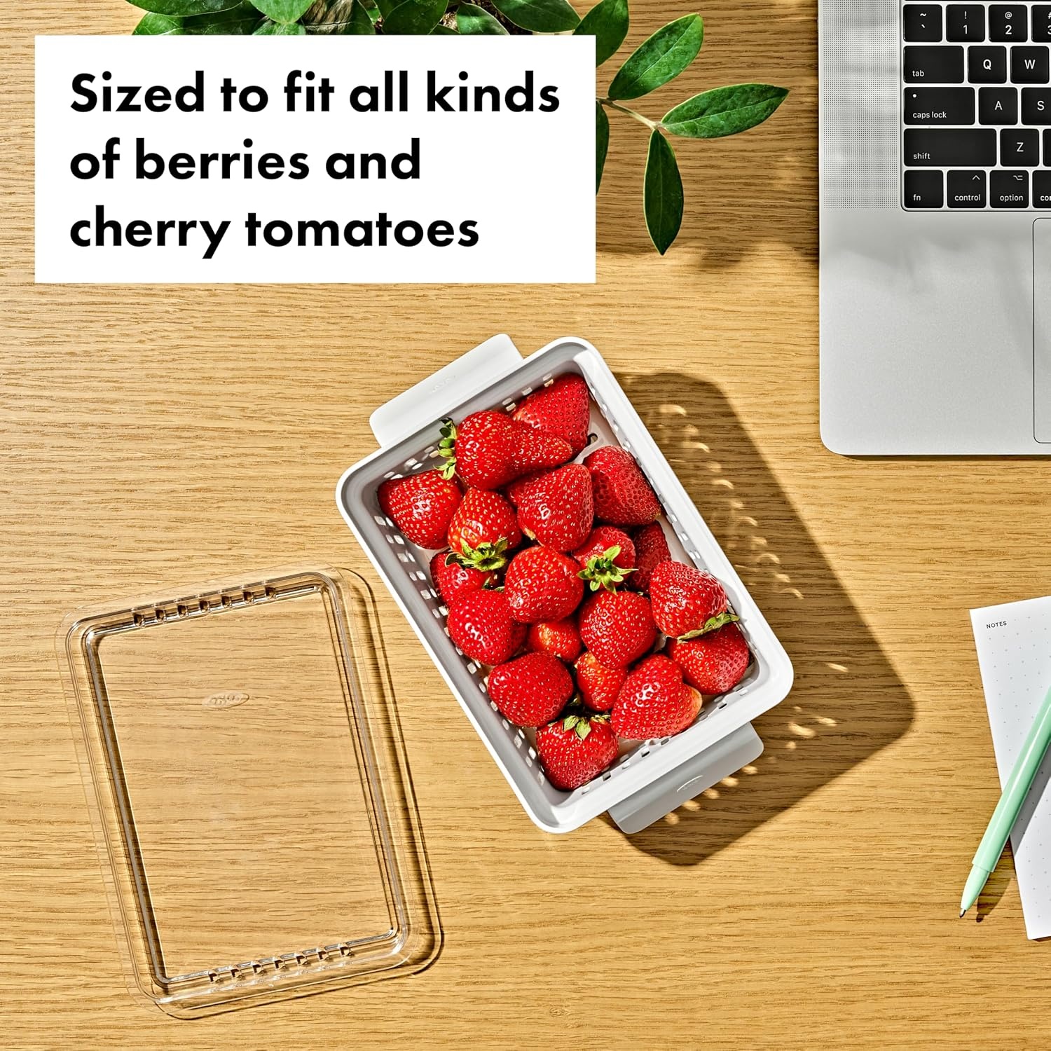 image:imageOXO Good Grips Produce Saver Long BinBerry Keeper