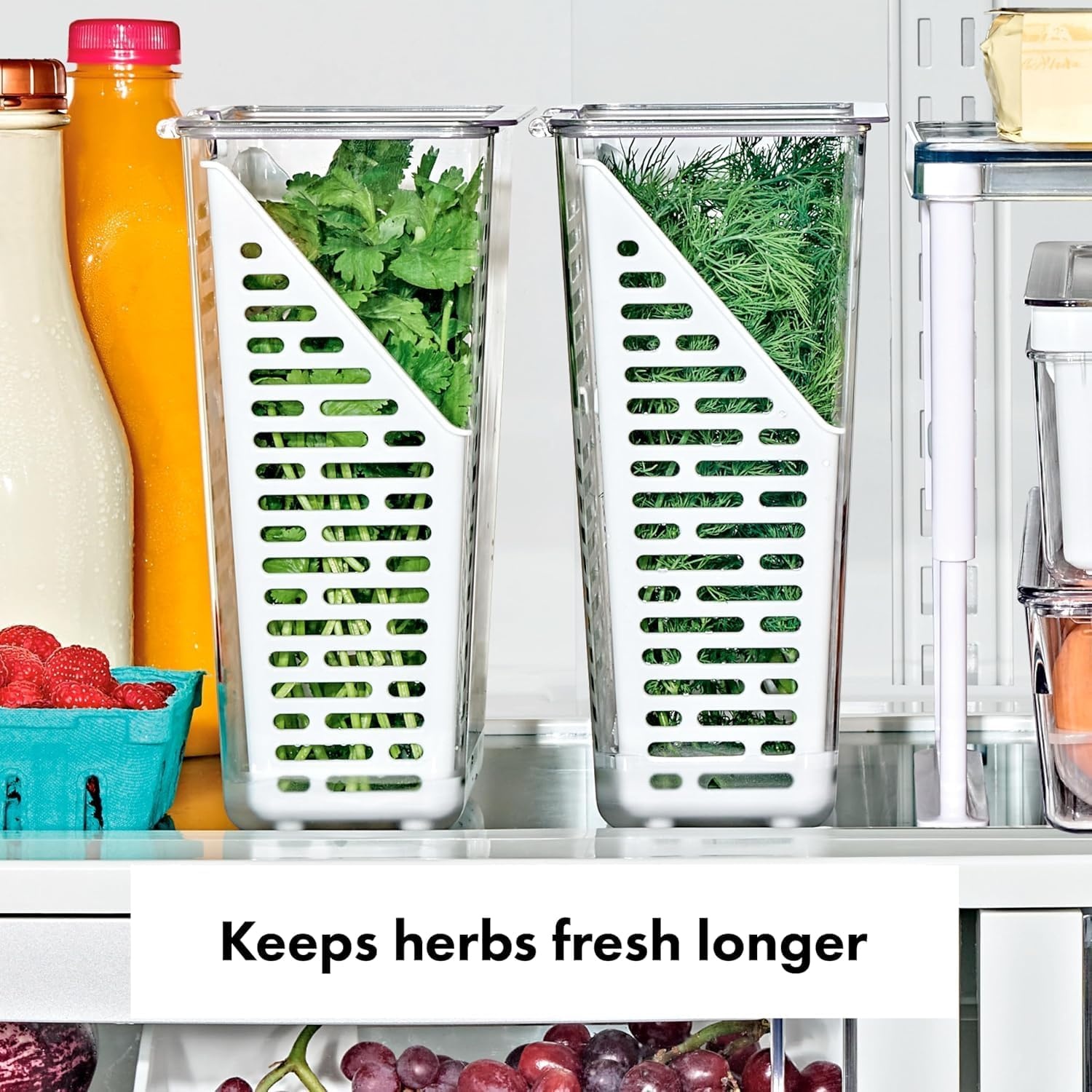 image:imageOXO Good Grips Produce Saver Long BinHerb Keeper