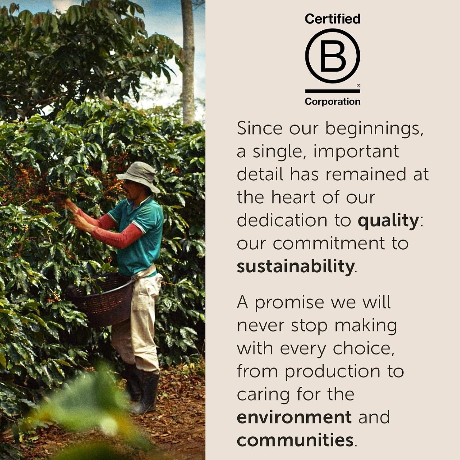 image:imageilly Whole Bean Coffee Perfectly Roasted Colombia Medium Roast Smooth Taste Notes of Fruit Fruit Notes 100 Arabica Beans No Preservatives 88 OunceClassico Medium Roast