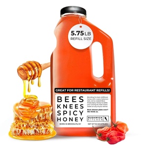 Bees Knees Spicy Honey | Wildflower Hot Honey with a Habanero Kick | Sweet Heat Hot Sauce for Pizza, Biscuits & Charcuterie | Gluten Free, Paleo Friendly | Foodie Gifts, Spicy Gift for Him (12.5oz)(Spicy Honey 92oz)