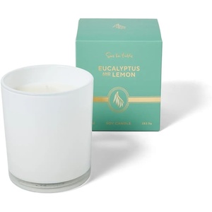 Sur La Table Eucalyptus & Lemon Candle, White